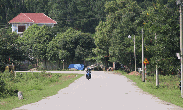 Đà[-]Nẵng:[-]Biệt[-]thự[-]ông[-]Thạch[-]-[-]Bứng[-]gốc[-]hay[-]cắt[-]tỉa?